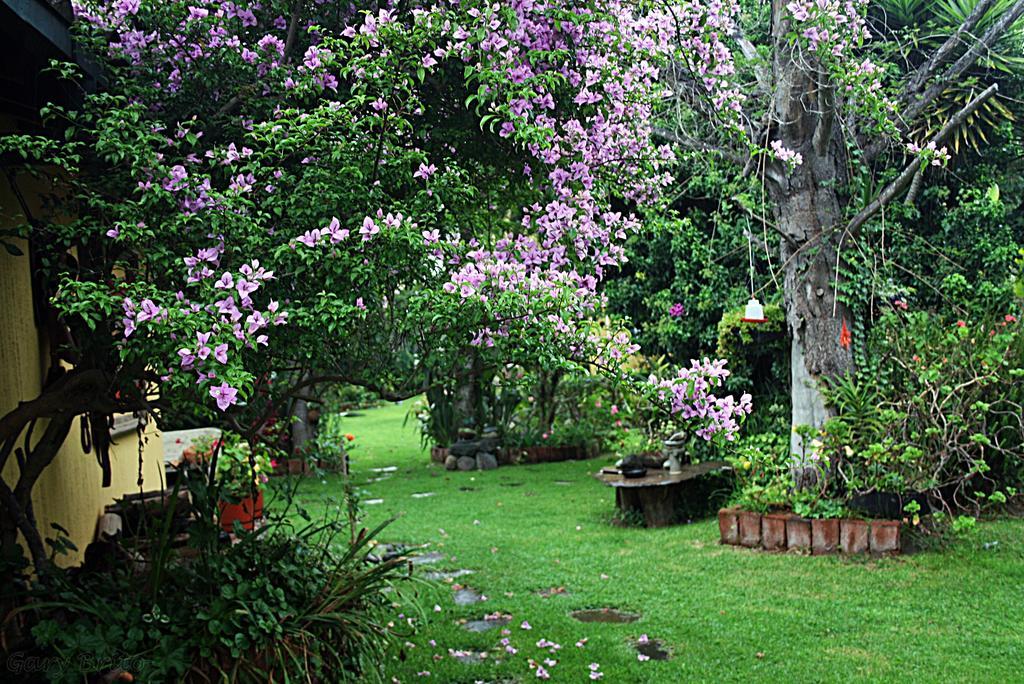 Hostal Saint Mary'S Tababela Extérieur photo